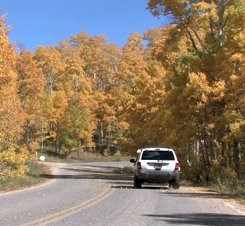 Fall Car Drive