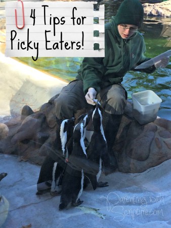 picky penguins - final
