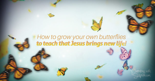 butterfliewnewlife